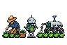 The man in a straw hat weeds a row of lettuces by hand while a small four-wheeled weeding robot trundles along the next row, and the robot stands between them with a watering can.